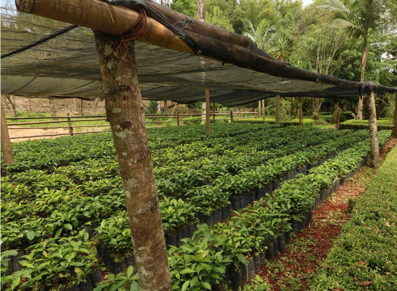Mision Los Cocuyos Alta Montana Huatusco Экстерьер фото